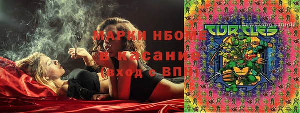 индика Ельня