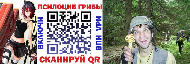 Псилоцибиновые грибы Cubensis  Нерюнгри 